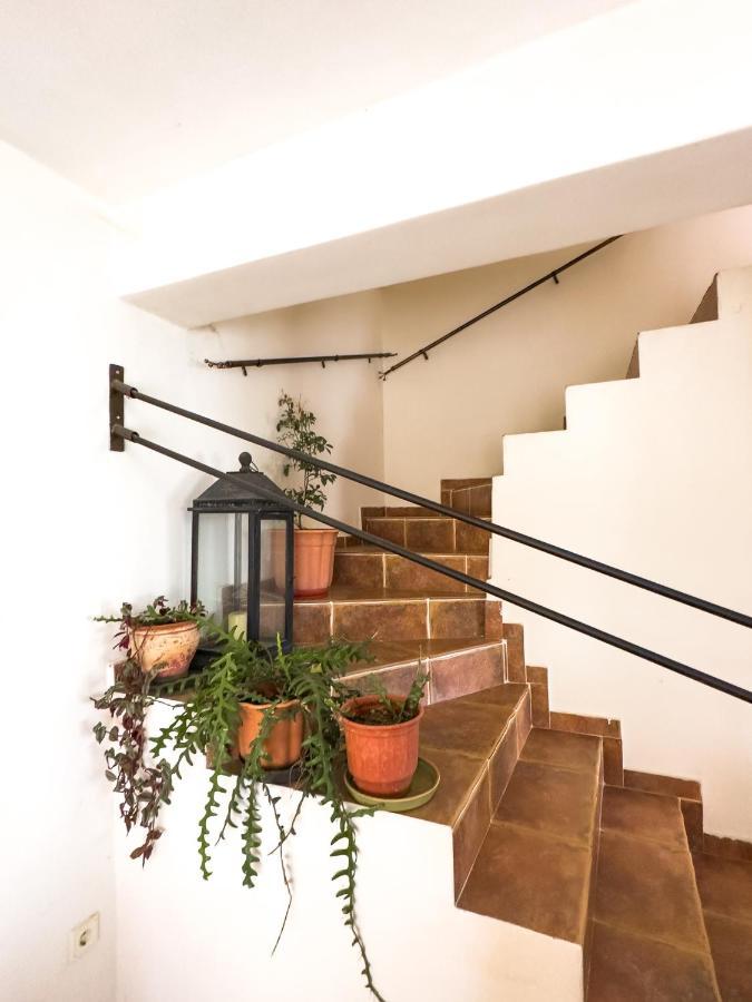 알렉산드로폴리스 The Early Bird - Cosy 2-Floor House With Garden 빌라 외부 사진